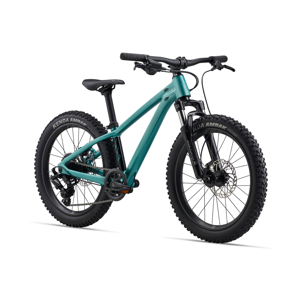 Lasten polkupyörä GIANT STP 20 FS, Sinivihreä - Image 2