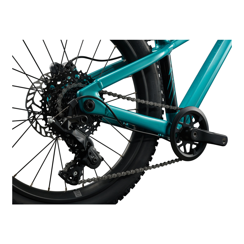 Lasten polkupyörä GIANT STP 20 FS, Sinivihreä - Image 3