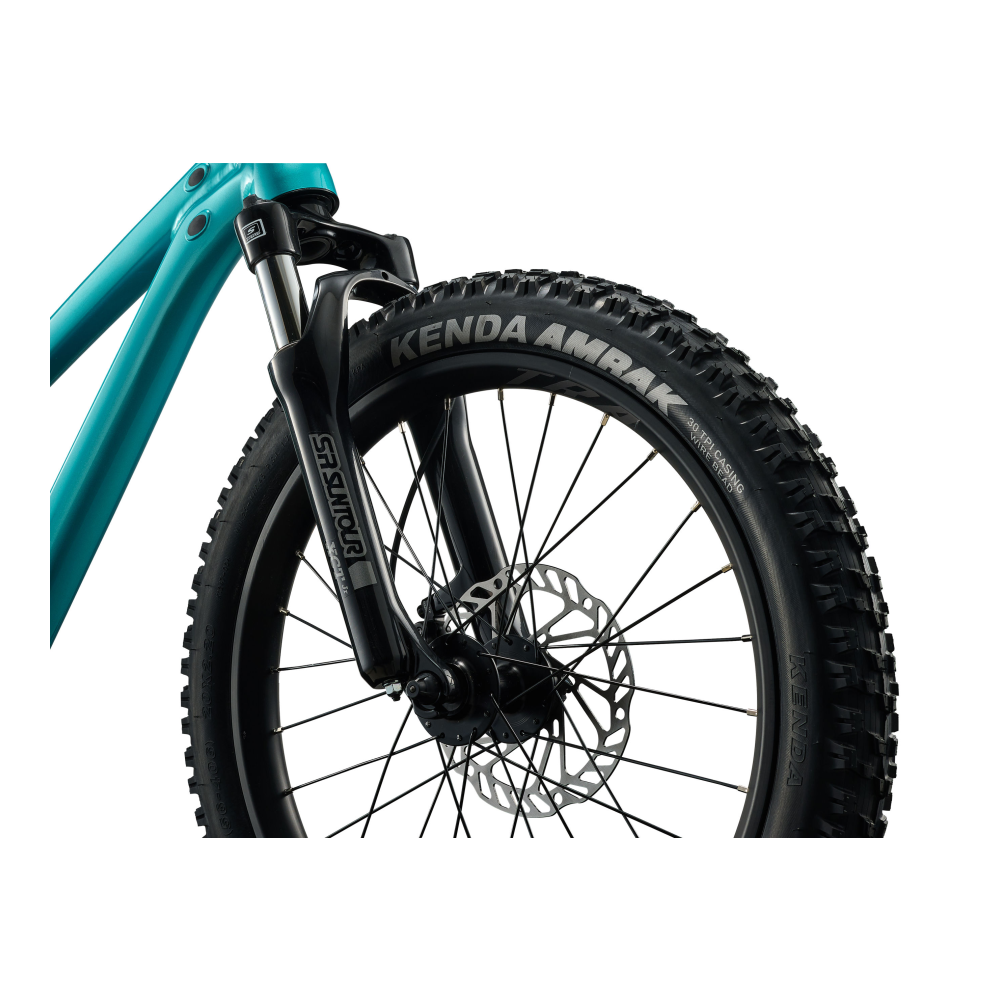 Lasten polkupyörä GIANT STP 20 FS, Sinivihreä - Image 5