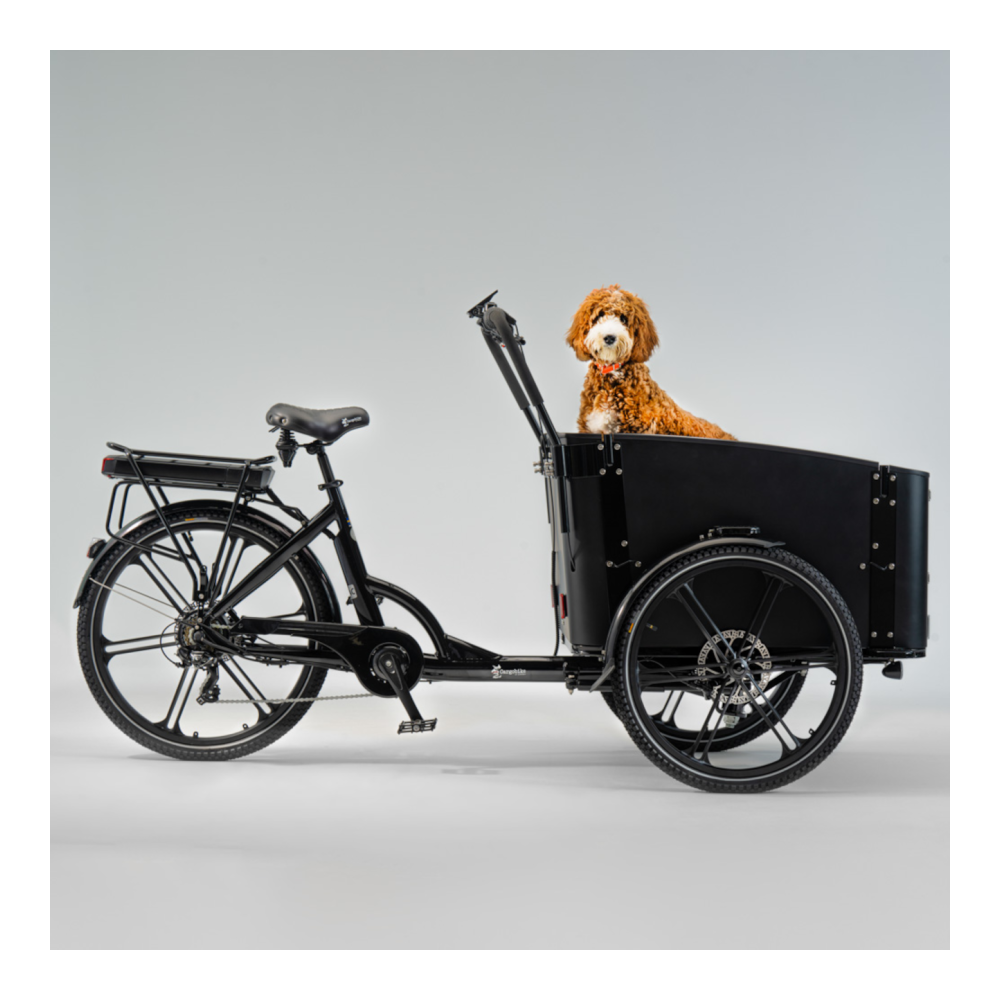 Sähköinen tavarapyörä CARGOBIKE of SWEDEN Flex Dog