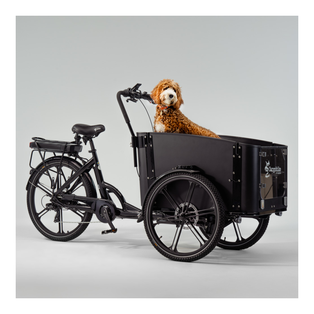Sähköinen tavarapyörä CARGOBIKE of SWEDEN Flex Dog - Image 3