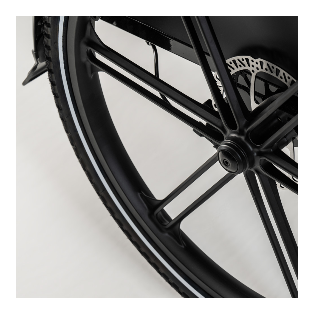 Sähköinen tavarapyörä CARGOBIKE of SWEDEN Flex Dog - Image 7