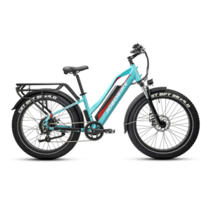 Sähköpyörä JOBOBIKE Robin ST Green 14 LG