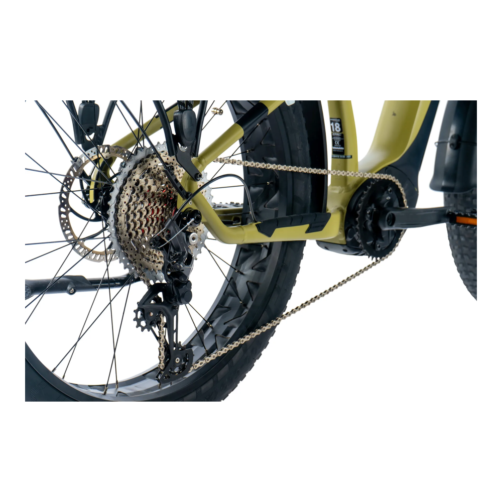 Sähköinen fatbike LEADER FOX Brasa 26": Vihreä - Image 4