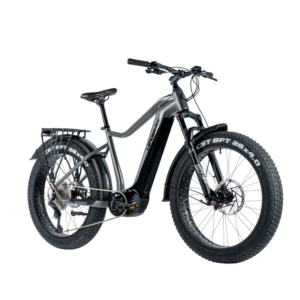 Sähköinen fatbike LEADER FOX Brasa 26": Harmaa