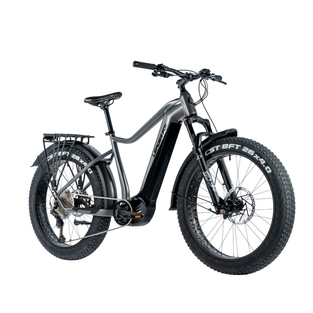 Sähköinen fatbike LEADER FOX Brasa 26": Harmaa
