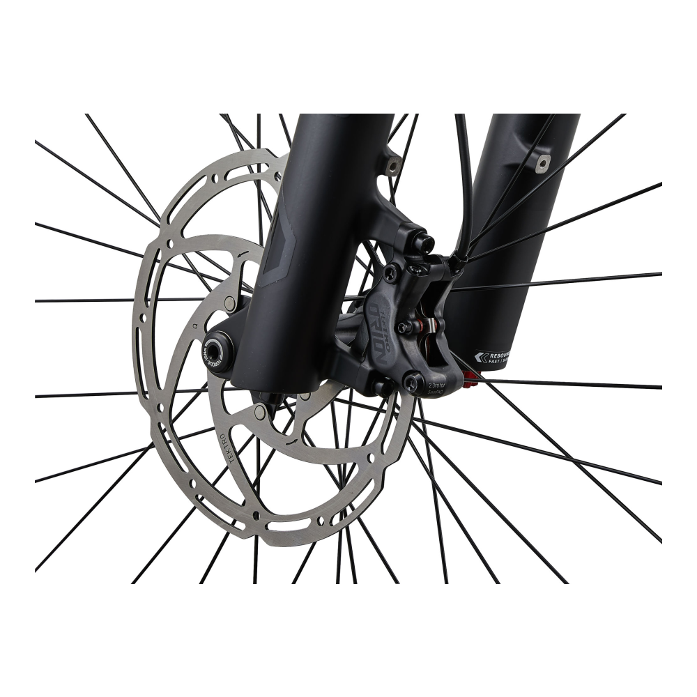 Sähköpyörä LIV Embolden E+ 2 (2027) Liuskekivenharmaa/Musta - Image 8