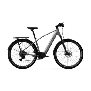 Sähköpyörä TENWAYS AGO X Special Edition, 29" hopea