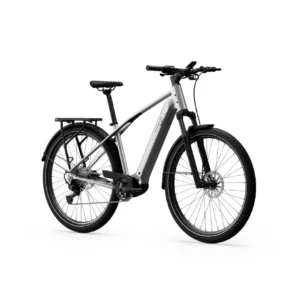 Sähköpyörä TENWAYS AGO X Special Edition, 29" hopea - Image 2