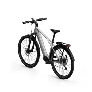 Sähköpyörä TENWAYS AGO X Special Edition, 29" hopea - Image 3