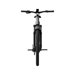 Sähköpyörä TENWAYS AGO X Special Edition, 29" hopea - Image 5