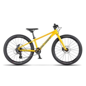 Beany Blaster XC 20 lastenpyörä – kultainen