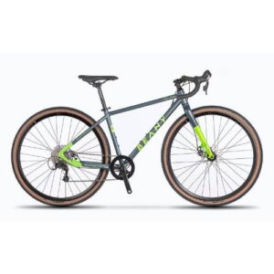 Beany Pulse 700c gravelpyörä – harmaa