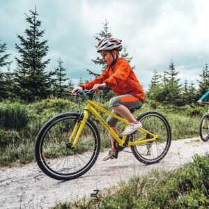 Beany Zero 24 lastenpyörä – keltainen