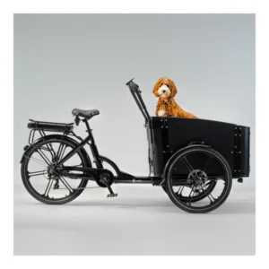 Sähköinen tavarapyörä CARGOBIKE of SWEDEN Flex Dog